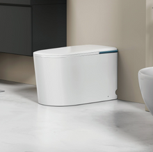 Load image into Gallery viewer, Vesso Smart Toilet