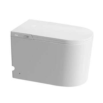 Smart Toilets