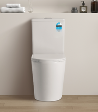 Load image into Gallery viewer, AVIS RIMLESS 022R TOILET SUITE
