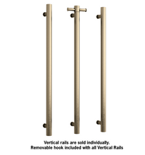 Load image into Gallery viewer, VERTICAL HEATED TOWEL BAR RD 240VOLT - BRUSHED BRASS
